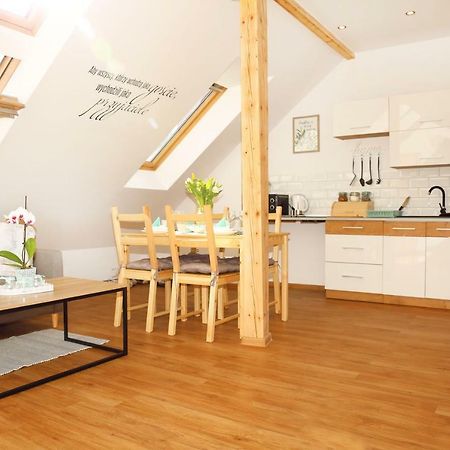 Apartament W Rynku Ustrzyki Dolne Dış mekan fotoğraf